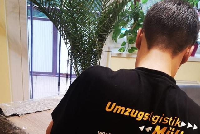 Laborumzug Reichenbach/Oberlausitz stressfrei umziehen 